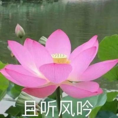 今天上王者游戏下载